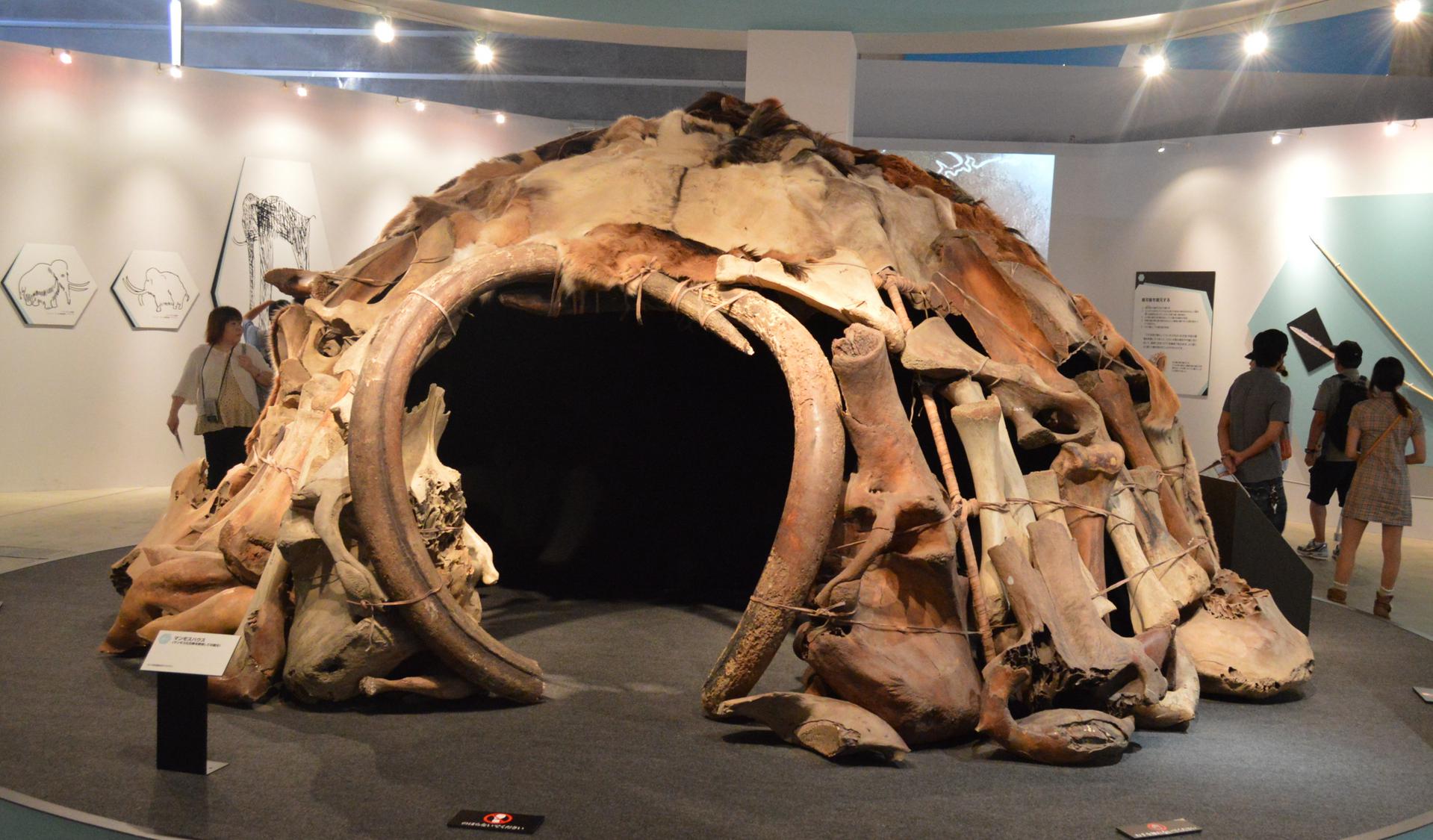 Dome shaped 25,000 year old Mammoth House