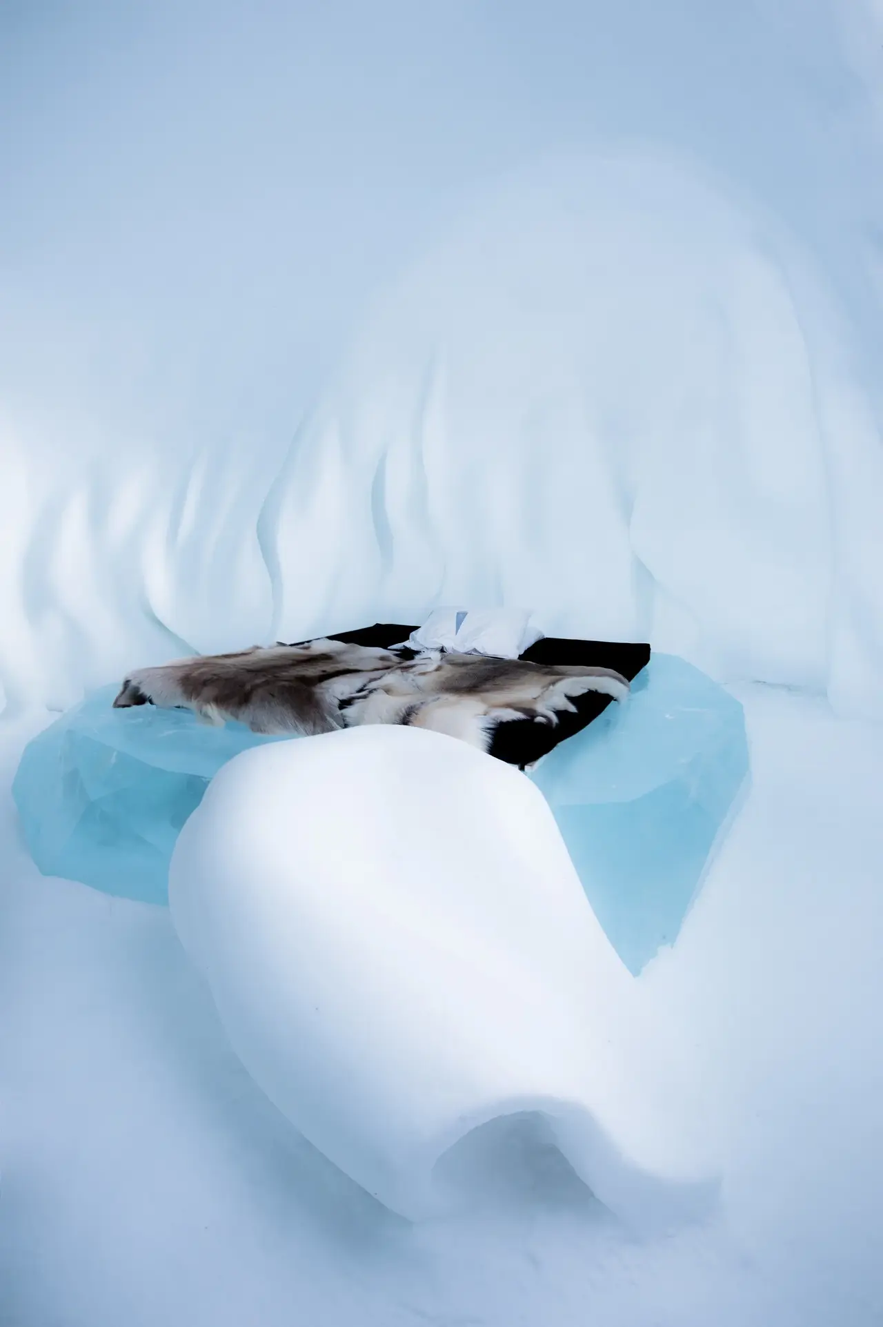 Hibernate.