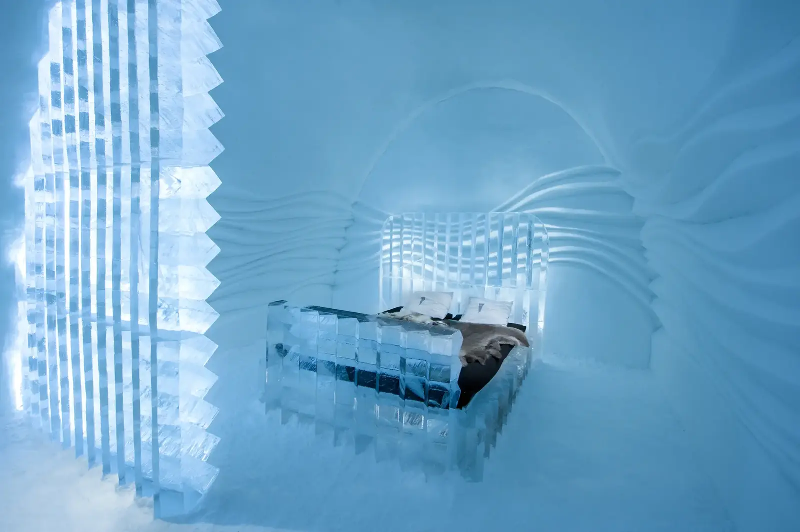 Eye Suite.