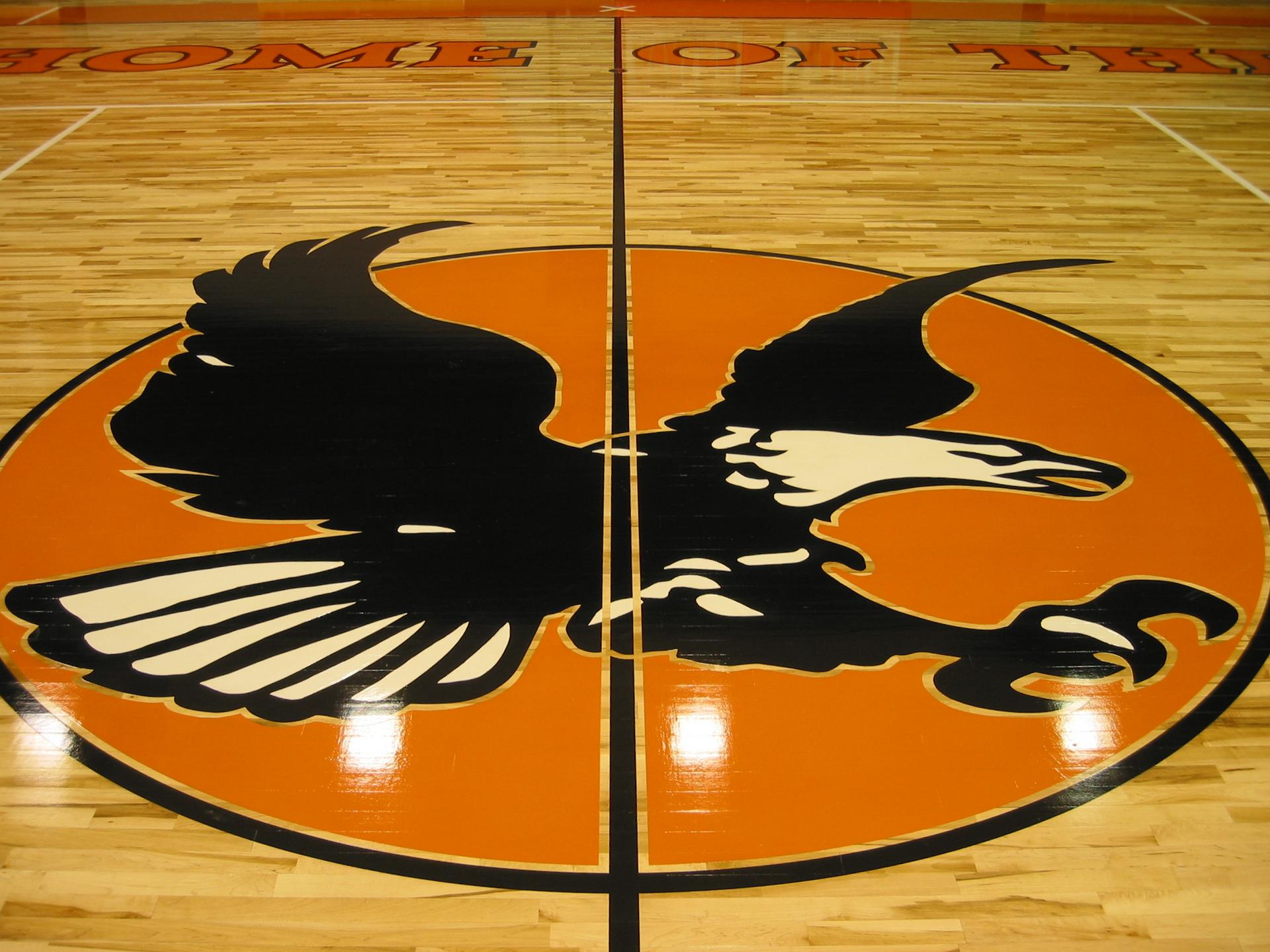 The Avalon Eagles emblem on the gymnasium court.