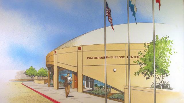 Rendering of the Avalon gym.