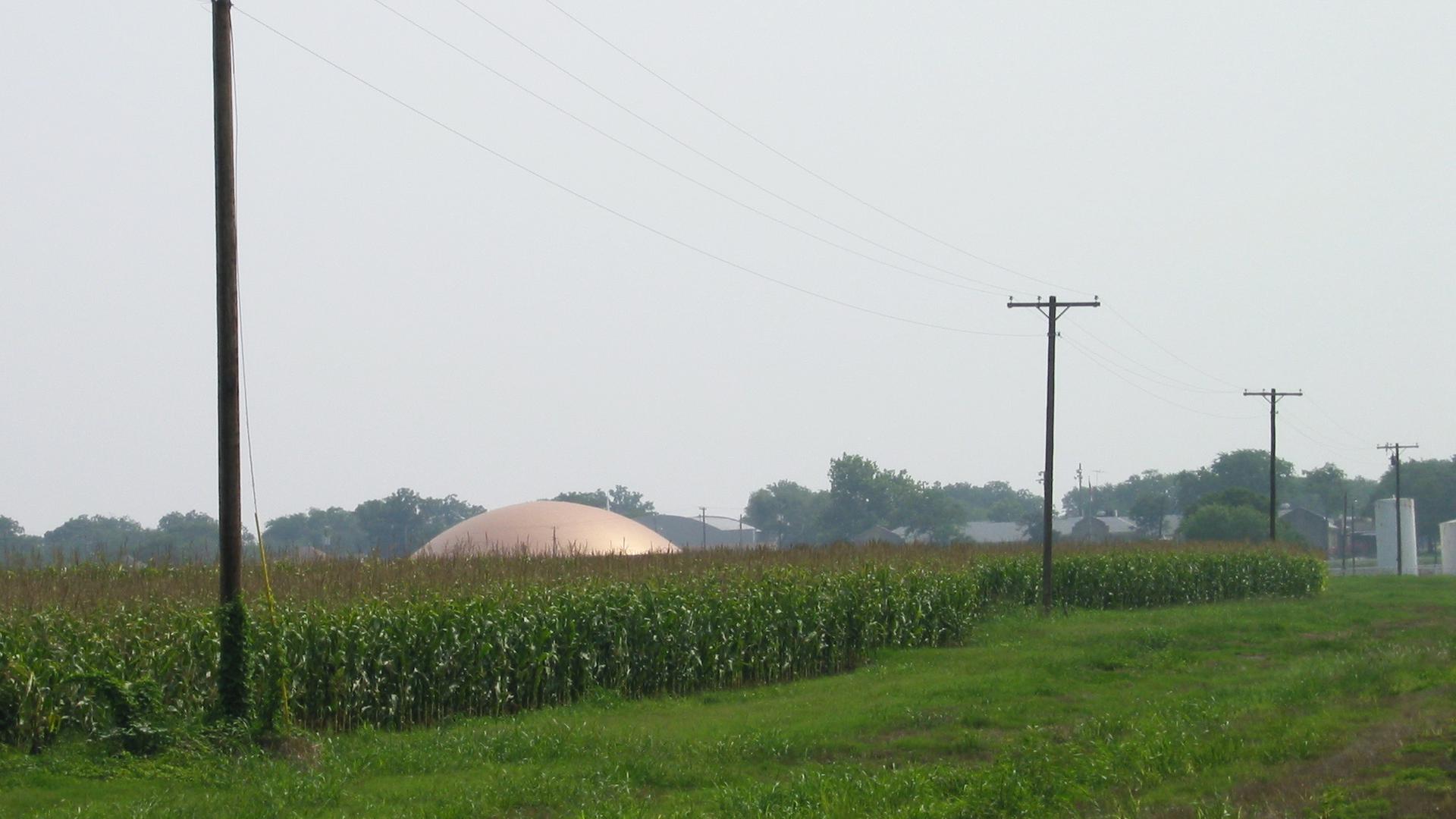 The dome "rising" from a cornfield.