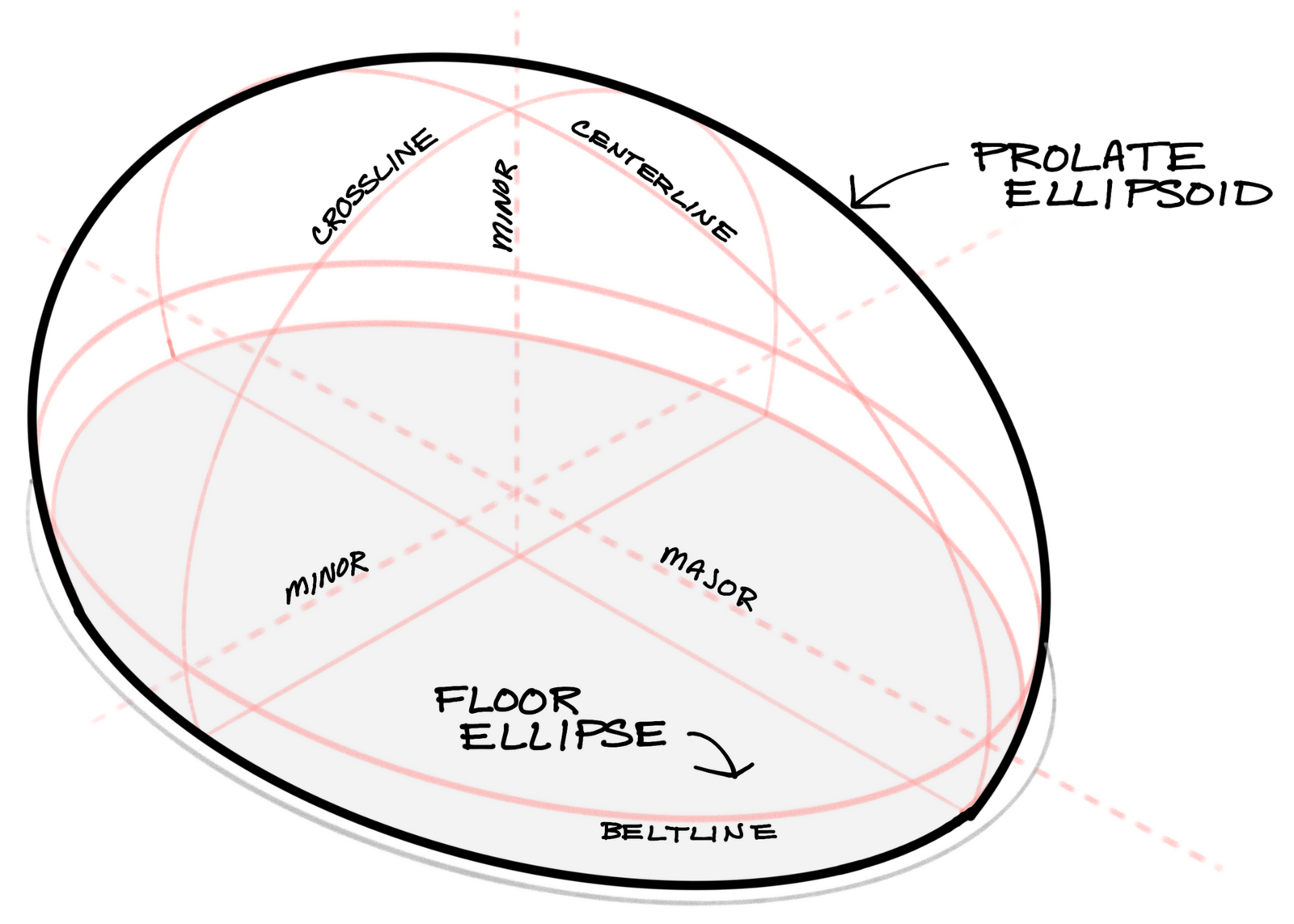 Sketch of the prolate ellipsoid used for the Eye of the Storm dome home.