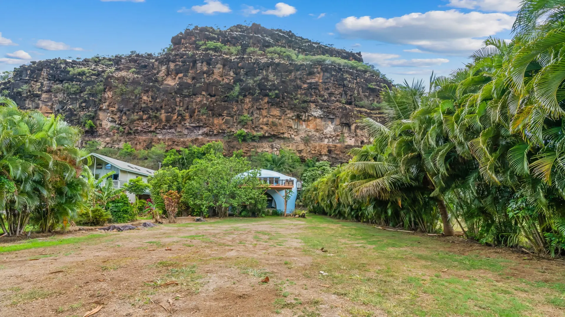 The spacious backyard.
