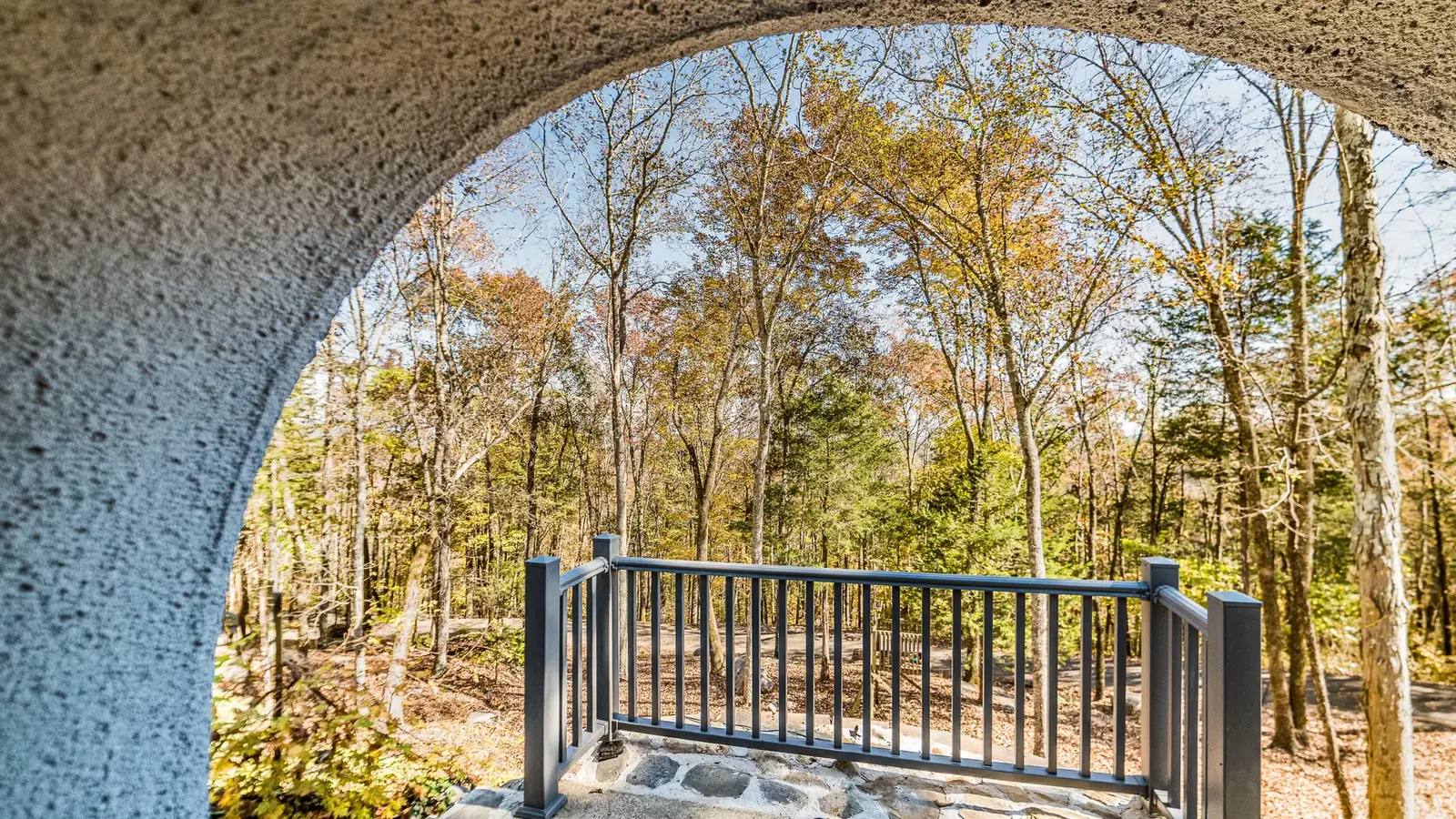 View of the woods outside the door.