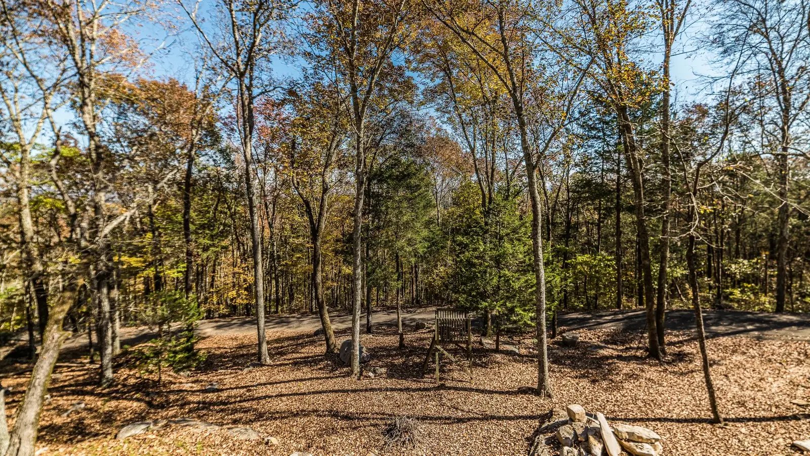 Many trees on the 45 acre property.