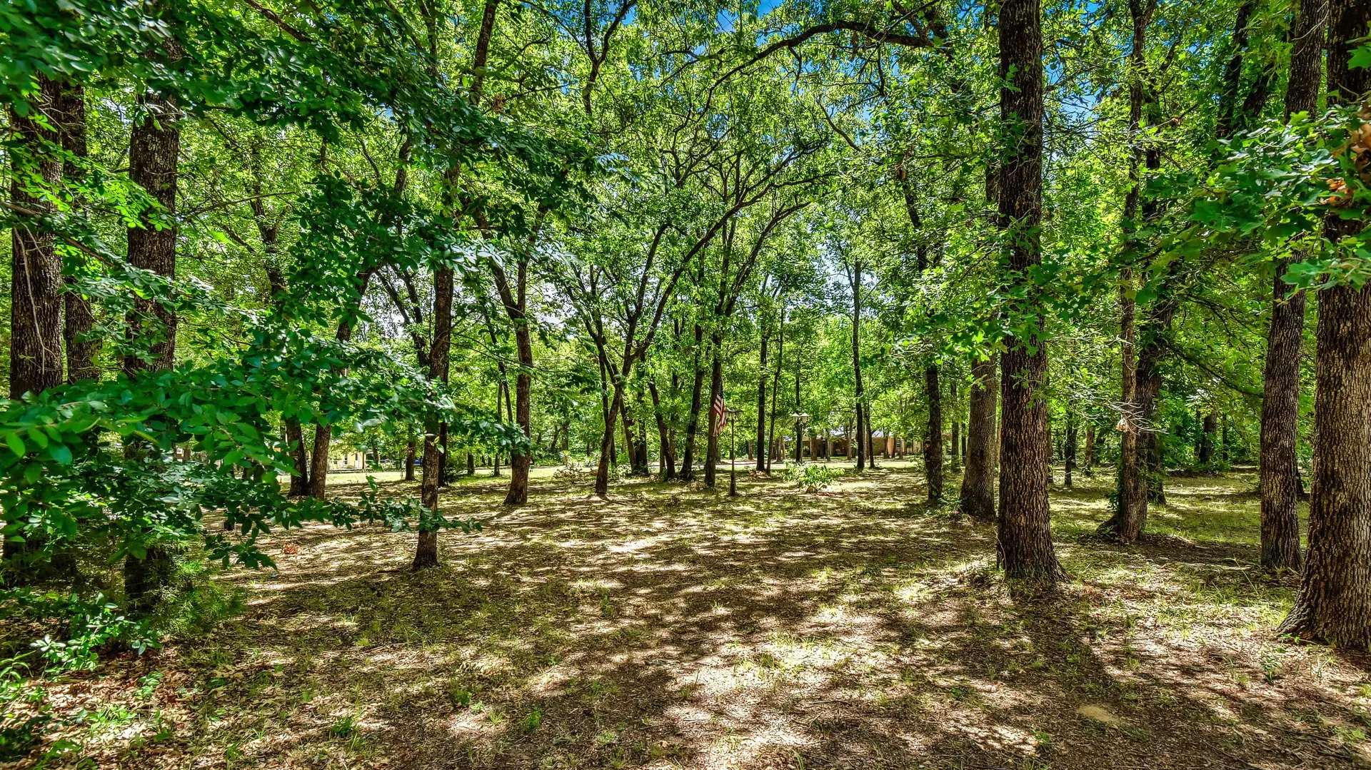 View of trees surrounding the home.
