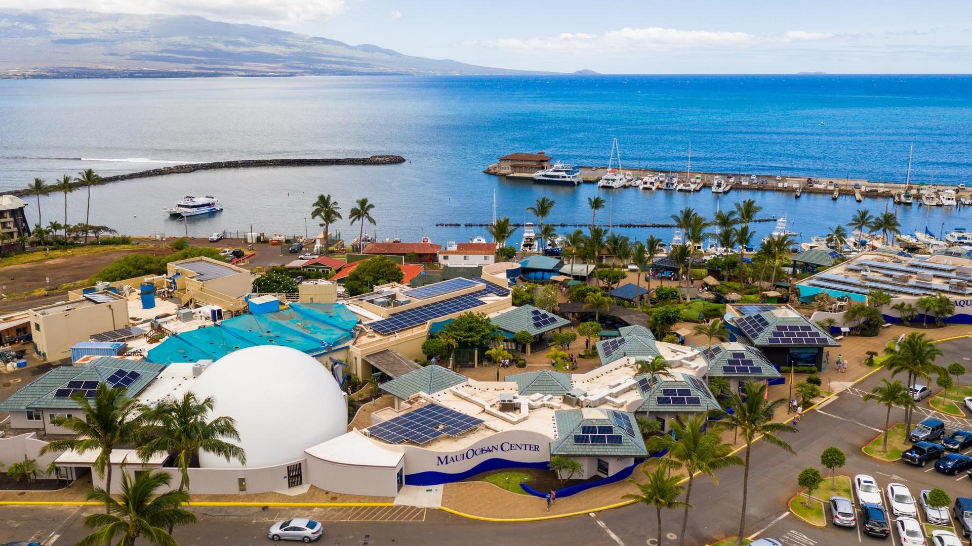 Aerial View of the Maui Ocean Center aquarium and the 3D Sphere.