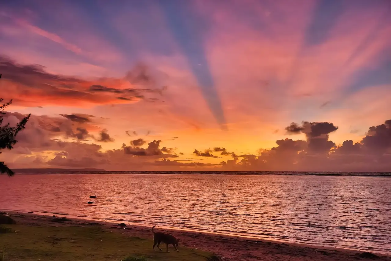 Splash of Sunrise Splash of Sunrise.