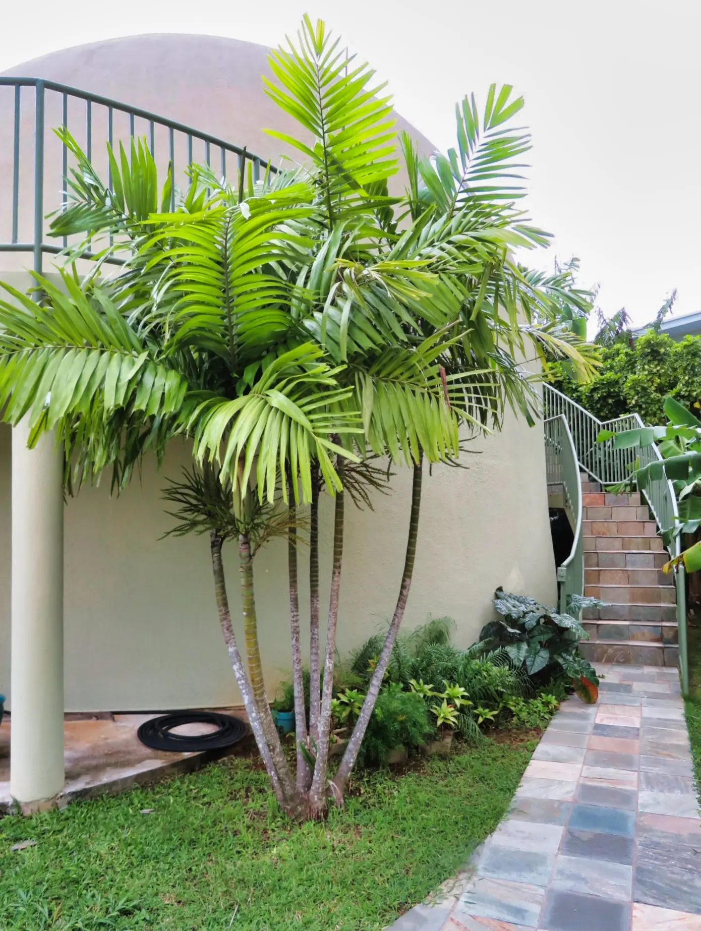 Ribbon of Metal and Stone.