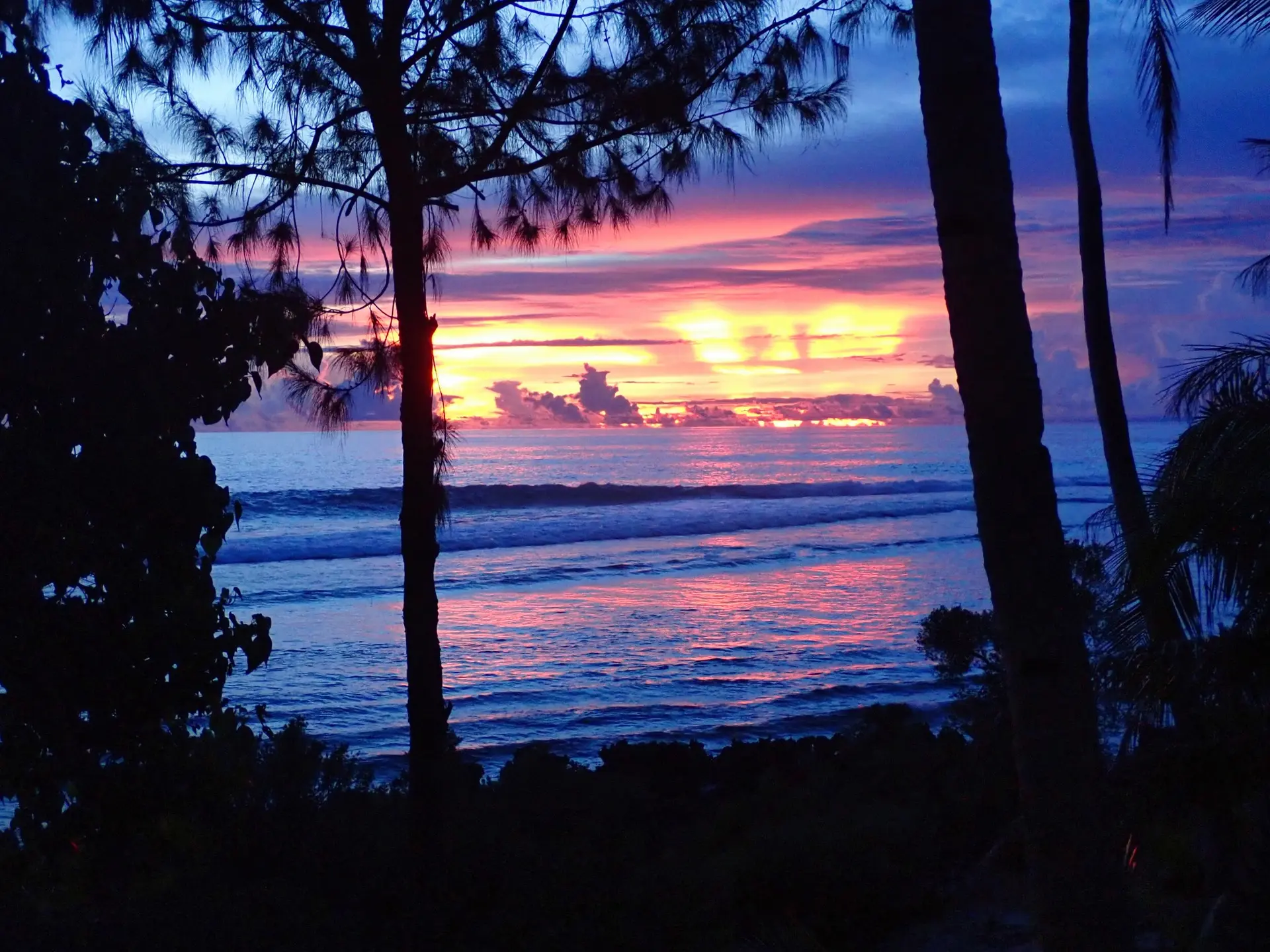 Everyday Magnificence.