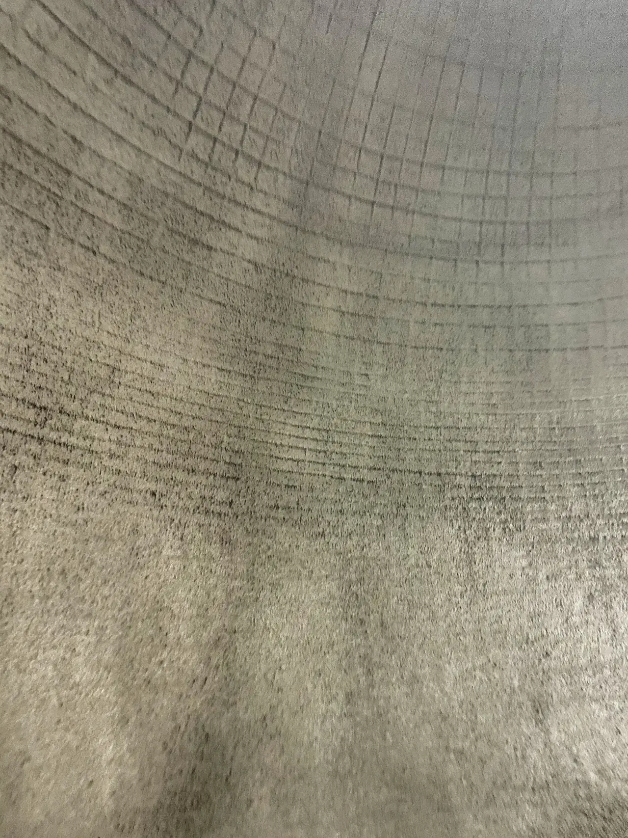 More Shotcrete.