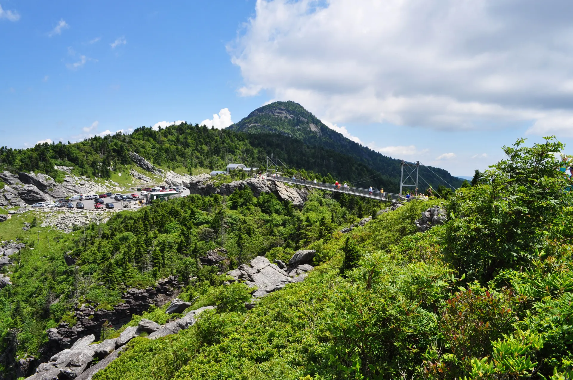 Grandfather Mountain.