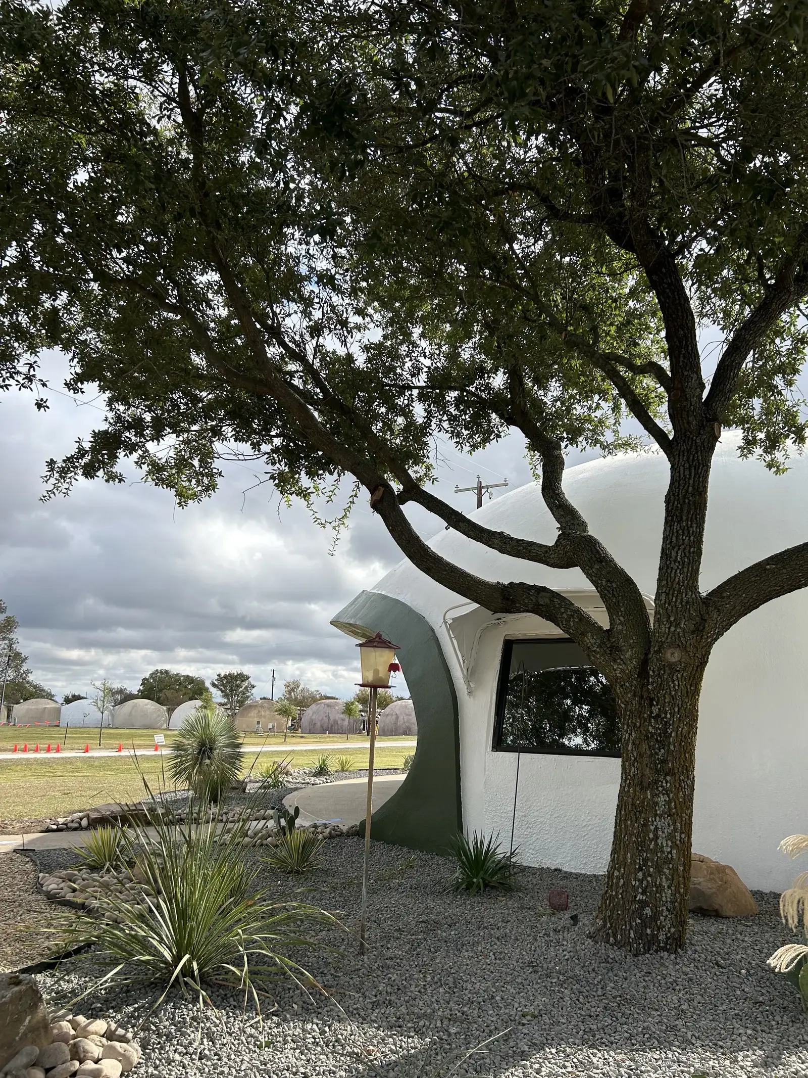 Main office and David B. South’s Favorite Oak Tree.