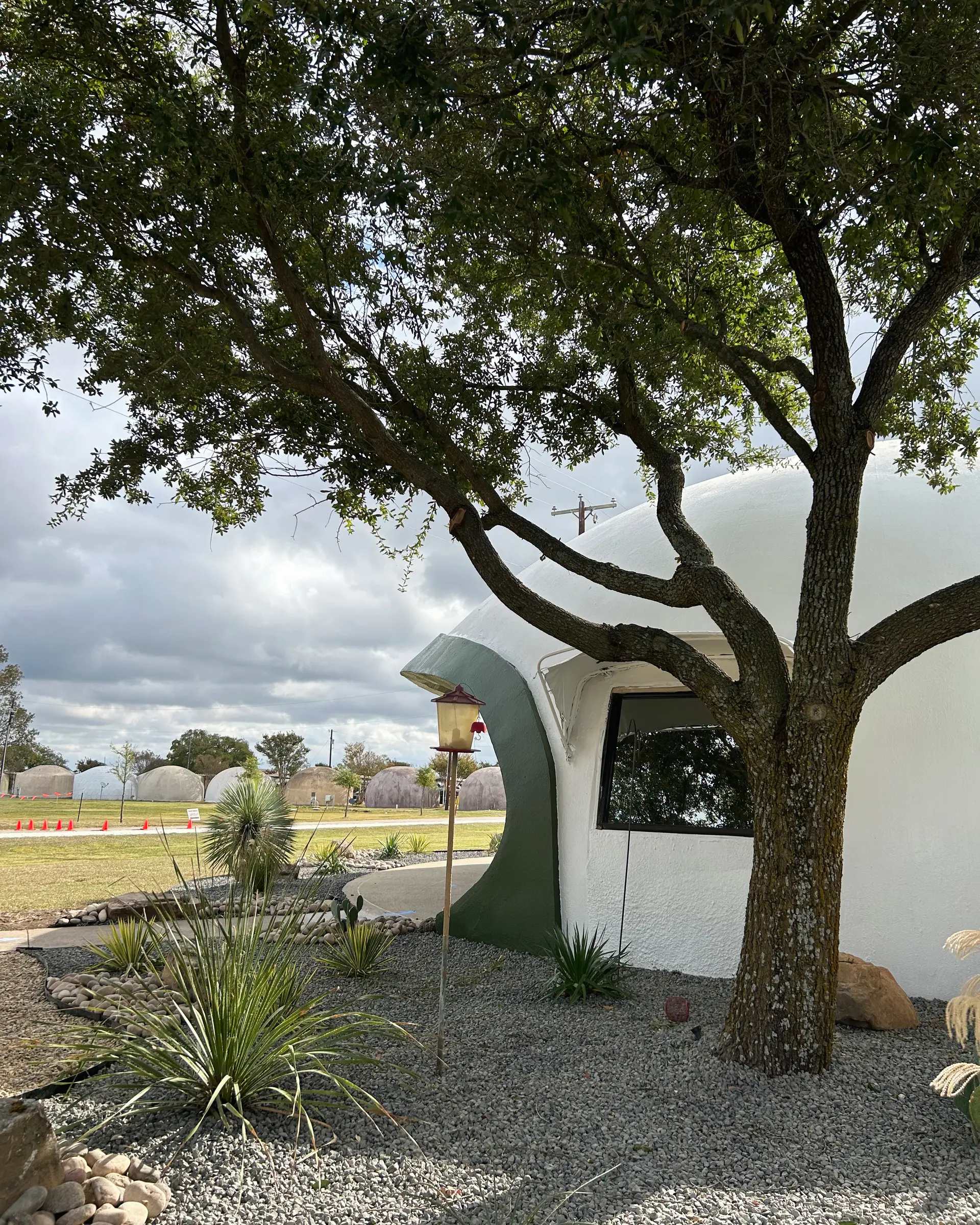 Main office and David B. South’s Favorite Oak Tree.