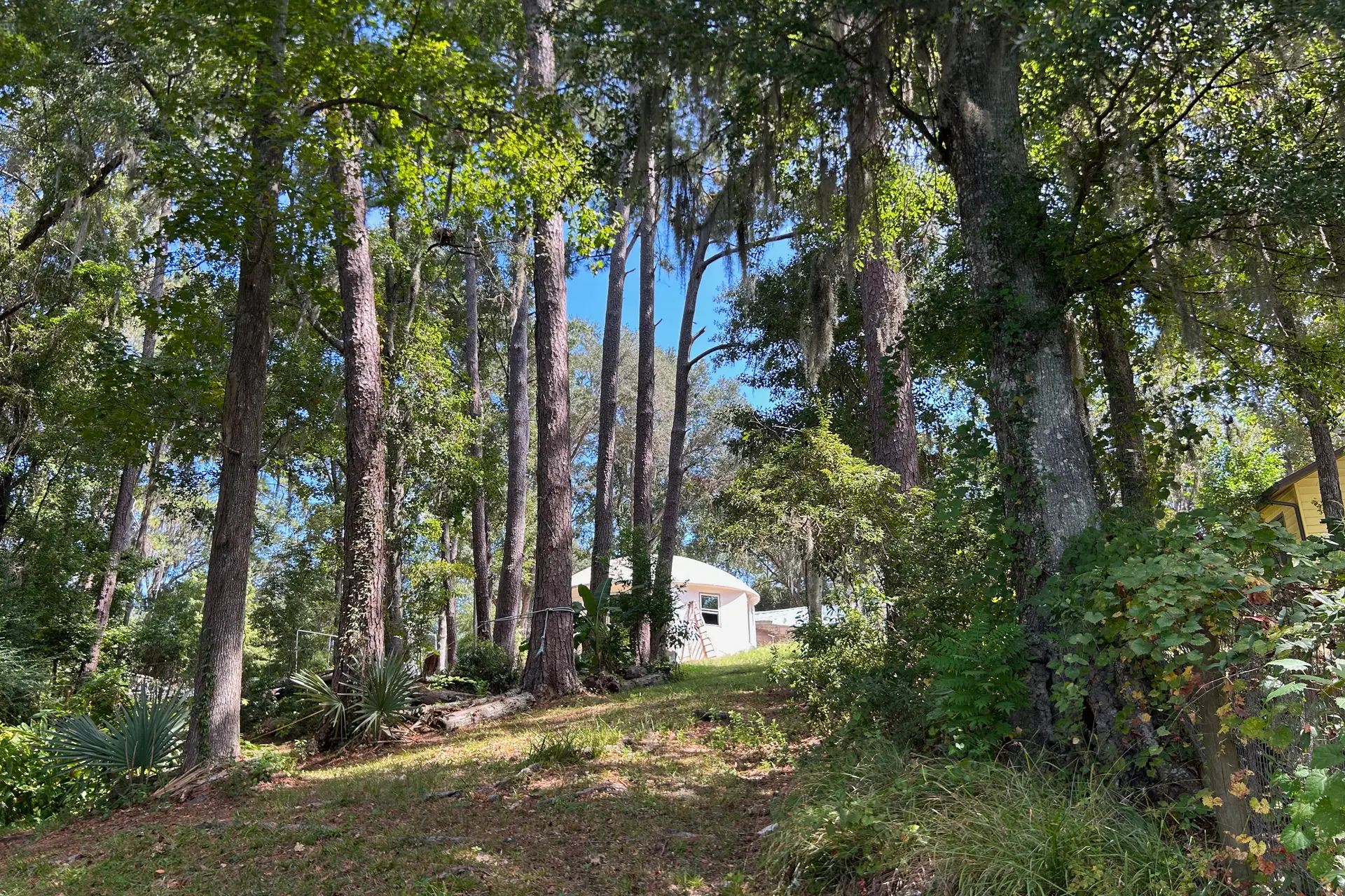 Jame's Crisp Wooded Property.