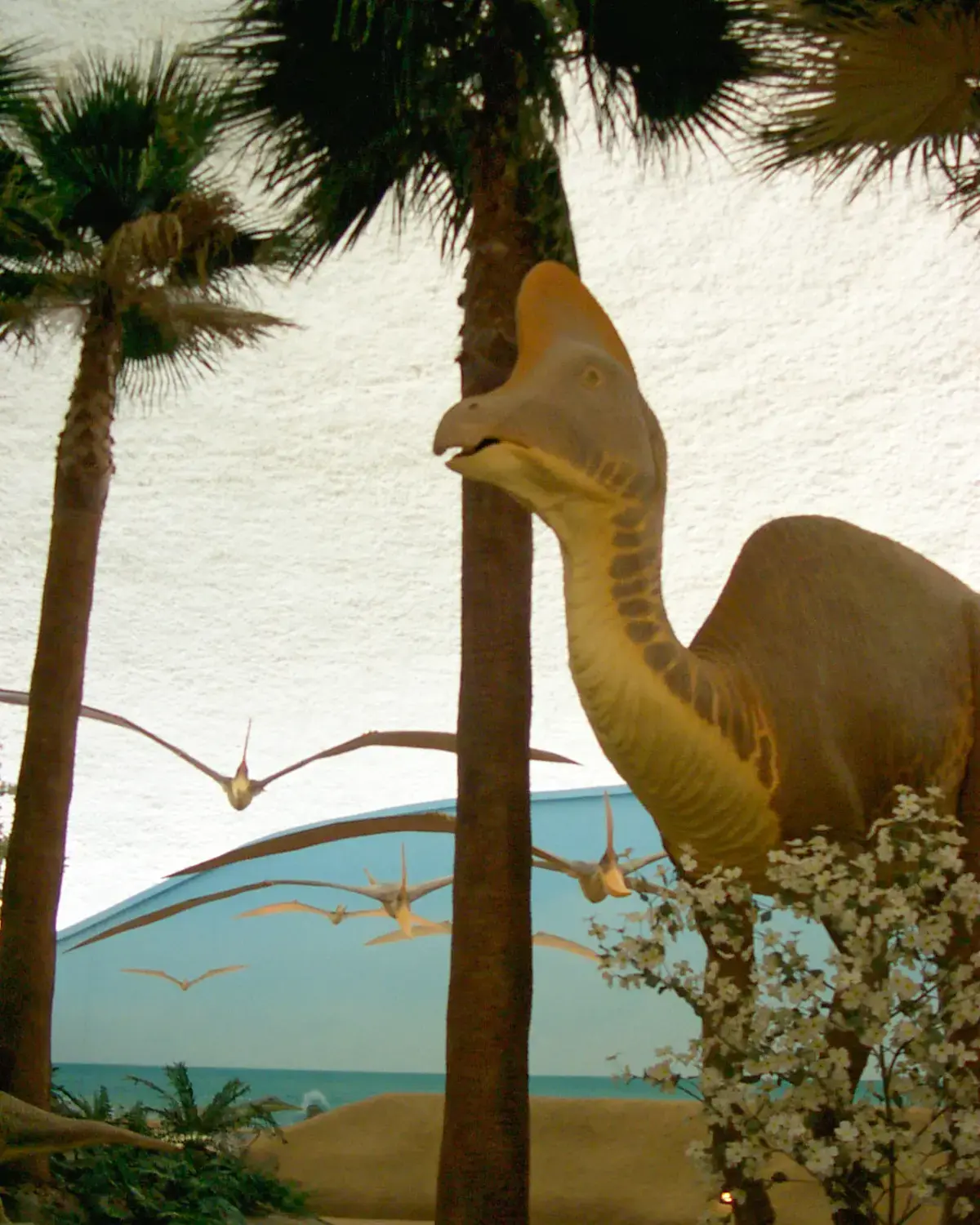 Dinosaur in a Dome Dinosaur in a Dome.