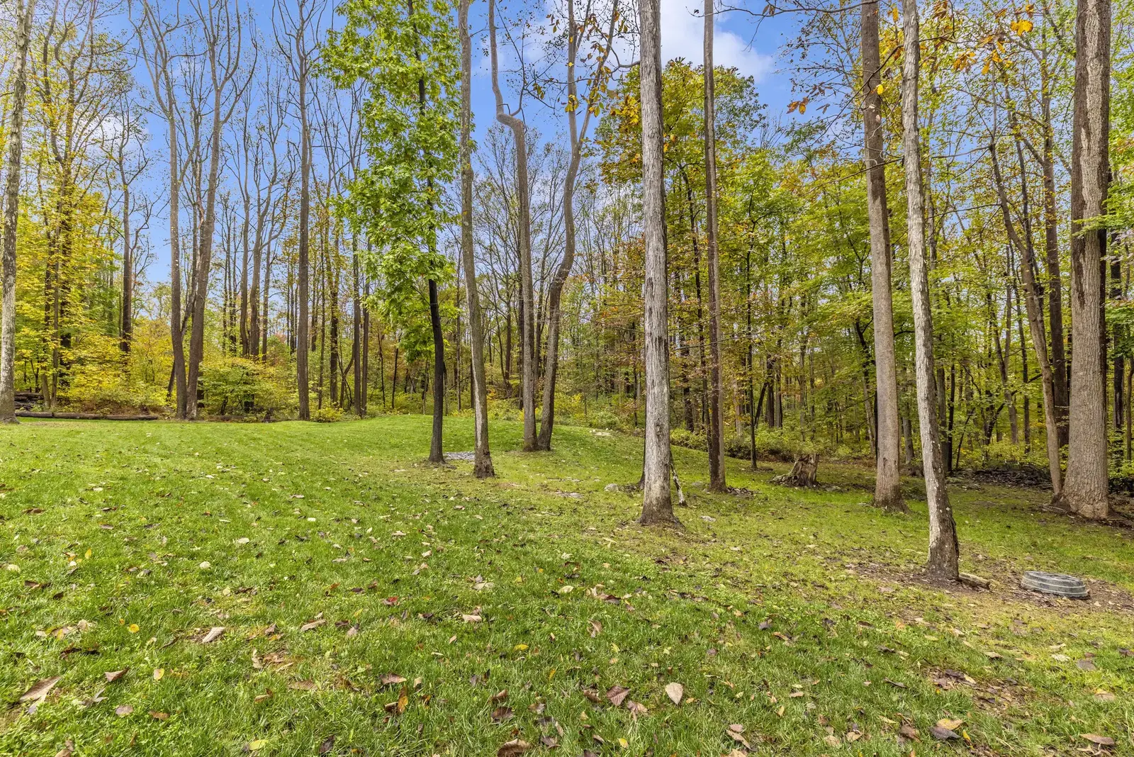 Wooded Property Land Wooded Property Land.